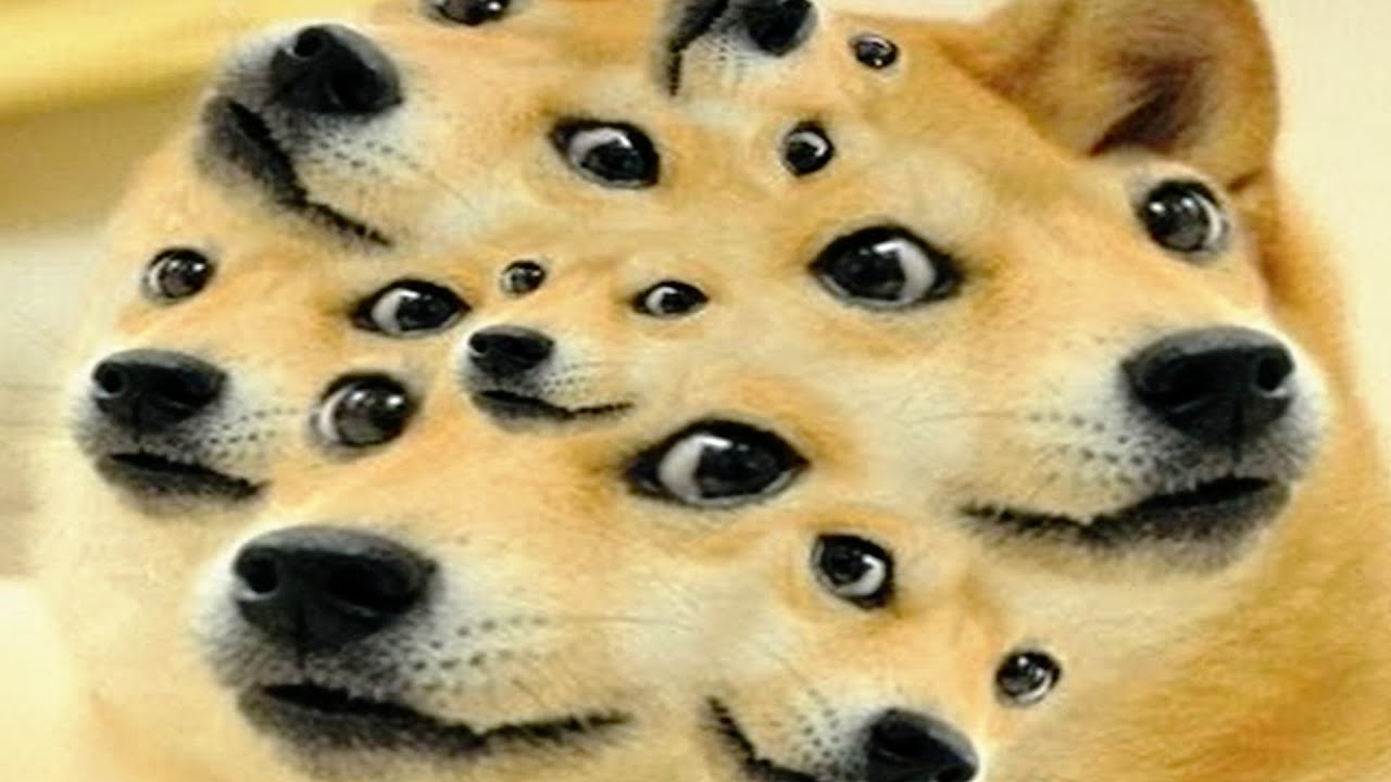 QUEL CHIEN ÊTES-VOUS ? thumbnail