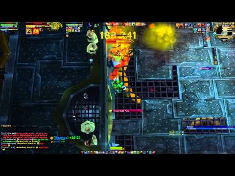 Brawler's Guild Rank 9 Nibbleh