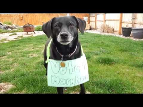 MaryRose Axtell  Tresurer