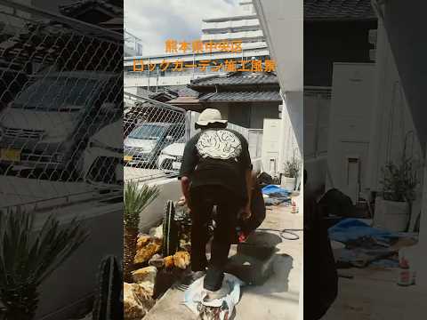 ロックガーデンのデザイン: どのように行うか?どの植物を選ぶべきですか？全てをお伝えします！  庭園