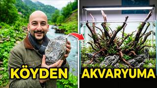 Doğadan Topladığım Taşlarla Akvaryum Kurdum!