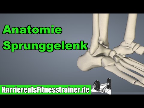Trench Kragen für Halswirbelsäule Preis Massage-Behandlung von Skoliose
