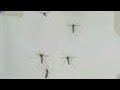 FDA Gives Emergency Approval For Zika Virus Diagnostic Tests