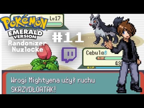 Cziterzy... Cziterzy Wszędzie | Pokémon Emerald Randomizer Nuzlocke #11 [Twitch]