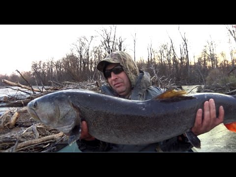 275 10-45 грамм