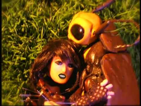 Yeah Yeah Yeahs - Pin (Official Video) HD