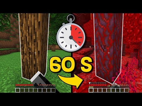 Minecraft, ma LA DIMENSIONE CAMBIA OGNI 60 SECONDI *incredibile*