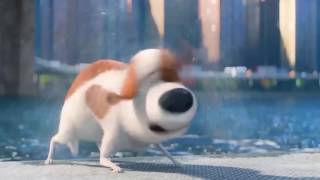 The Secret Life of Pets - Best Scenes