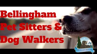 preview picture of video 'Bellingham Dog Walker and Pet Sitter - (360) 224-5307'