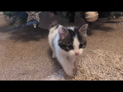 Deadpool & Wolverine getting so fast