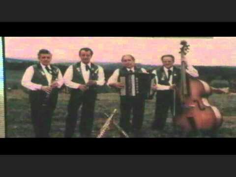 14 WANNTALER LÄNDLERQUARTETT  "Bim Fritz vorem Hus"