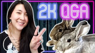 2k Q&A | All your Board Game questions answered! 🥳🎉