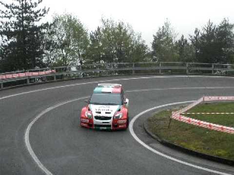 RALLY 1000MIGLIA 2010 SKODA S2000 KOPECKY PS9