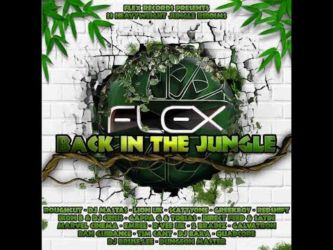 Direct Feed & Satin Feat. Werd MC - Positive Dread [Flex records - Back in the Jungle LP]