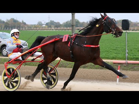 Kasačke trke Sombor - 8. trka - "Dream Catcher d.o.o.-Sombor" - 23.10.2022.