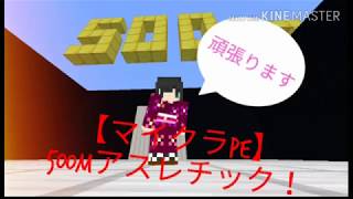 【マイクラアスレチックゆっくり実況】マイクラアスレチックやりたかった。#1