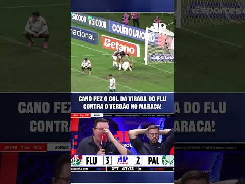 INACREDITÁVEL! Palmeiras TOMA GOL NO FINAL e PERDE para o Fluminense