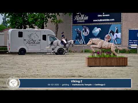 Videoday