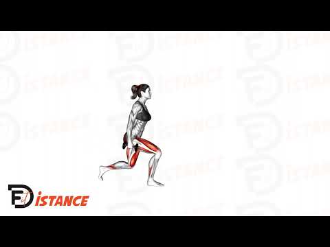 Fentes marchées avec haltères - Exercice Fentes marchées avec haltères en vidéo