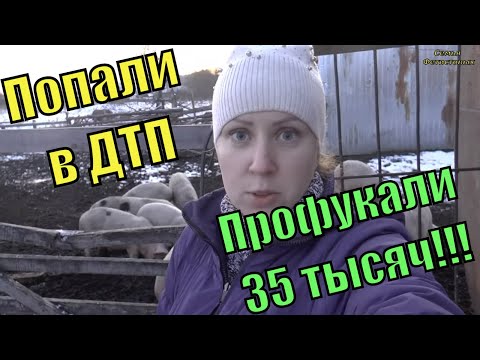 Попали в ДТП. Профукали 35тысяч! // Семья Фетистовых
