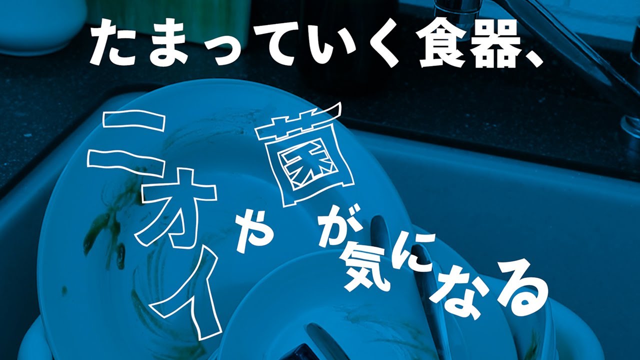 洗って除菌、庫内も除菌。食洗機対応マイボトルも洗える 食器洗い乾燥機 NP-TZ300