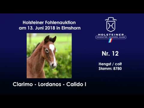 Holsteiner Fohlenauktion im Juni | Nr. 12 v. Clarimo - Lordanos