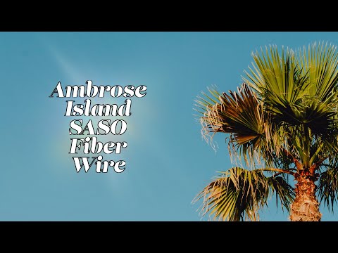 [HITMAN 3] Ambrose Island Fiber Wire Only SASO Easy Consistent (3:44) IGT #hitman3 #ambroseisland