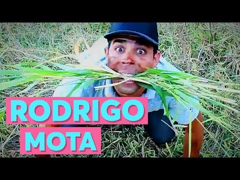 I Dreamed I Was Getting Married | Wesley Safadão Parody | Rodrigo Mota TV | Lucas Rangel | SPP