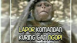 Download lagu lapor komandan kuring can ngopi yeuh mp3 Download lagu lapor komandan kuring can ngopi yeuh mp3