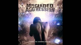 Misguided Aggression - Winter Soldier