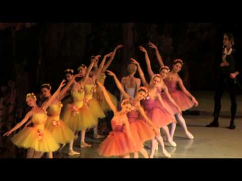 "Don Quixote" / picture a dream / Evseeva 28-6-2013