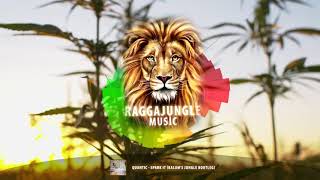 Quantic - Spark It (Kalum's Jungle Bootleg)