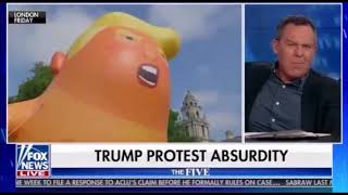 Trump Protest Absurdity 🤣🤣