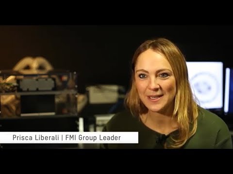 Prisca Liberali group leader at the Friedrich Miescher Institute for Biomedical Research