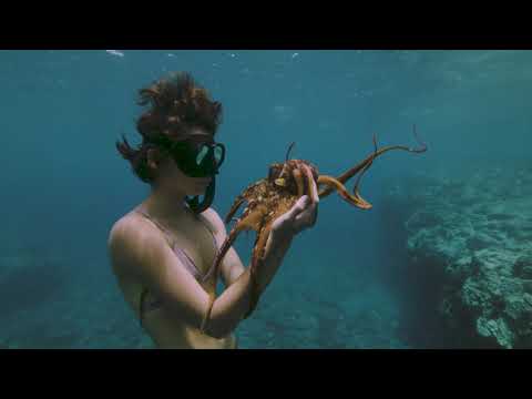 “How extraordinary a life was meant to be” | ‘Burgs’ - Mt. Wolf (Official Video)