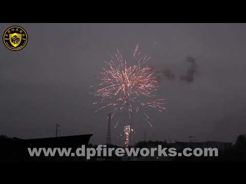 DMP2810-N - Dominator 16s Nishiki