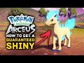 How to Get a Guaranteed SHINY Pokemon in Legends Arceus - Shiny Ponyta