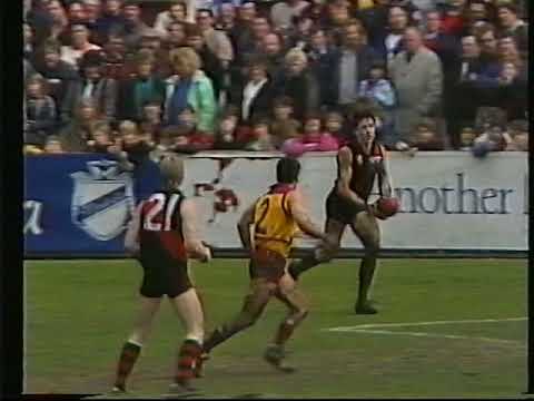 1989 Essendon v Brisbane - Windy Hill - Match Report