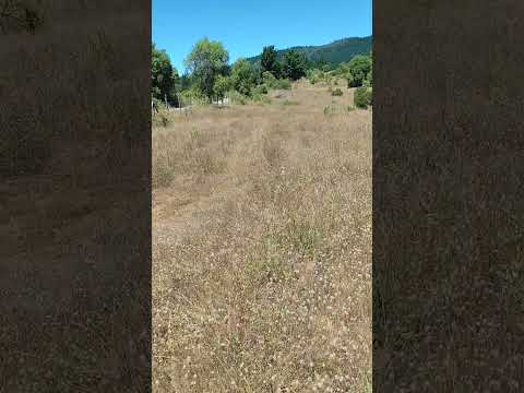 PREVENTA FLORIDA - BIOBÍO NIVEL BOUTIQUE