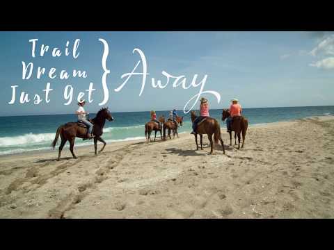 Horseback Riding on the Beach