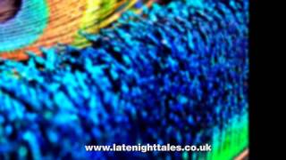 Junior Boys - Under The Sun (Late Night Tales: Friendly Fires)