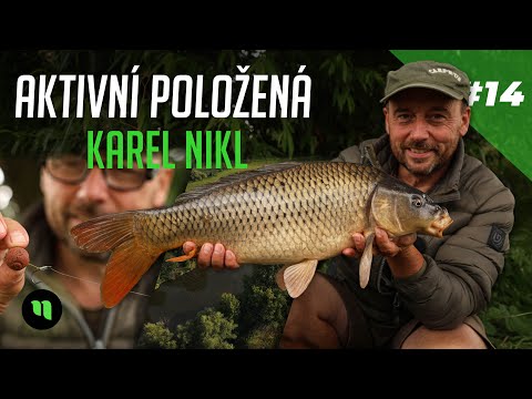 Aktivní položená | Návod na nejoblíbenější návazec Karla Nikla | Malý revír a spoustu záběrů | #14