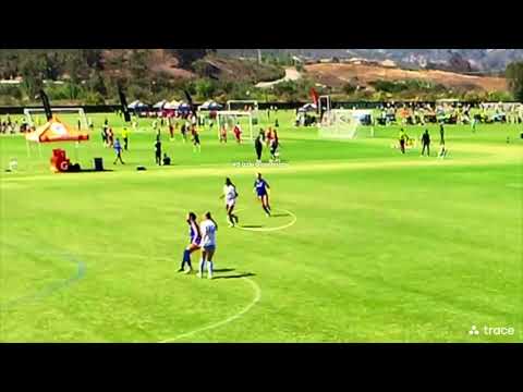 Sub 2-Minute Highlight Reel