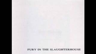 Fury in the slaughterhouse - Fools