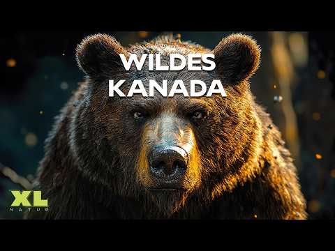 Kanada: Zwischen eisigen Fjorden und grünen Wäldern | XL Naturdoku
