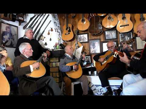 Cigana dos sonhos meus FR-EN-IT-ES-DE António Cardoso - Tertúlia do Fado - Fernão Ferro, 6-4-2022