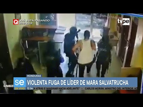 Honduras: Mara Salvatrucha gang frees leader