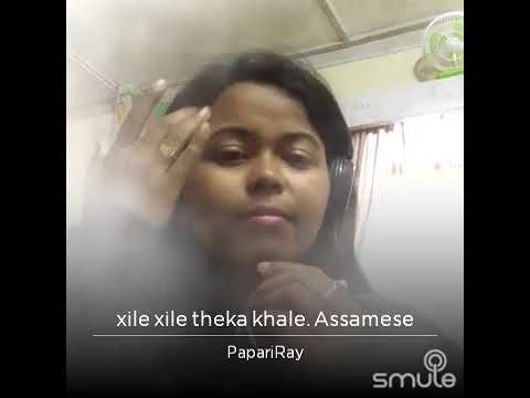 Xile xile by Papori Medhi