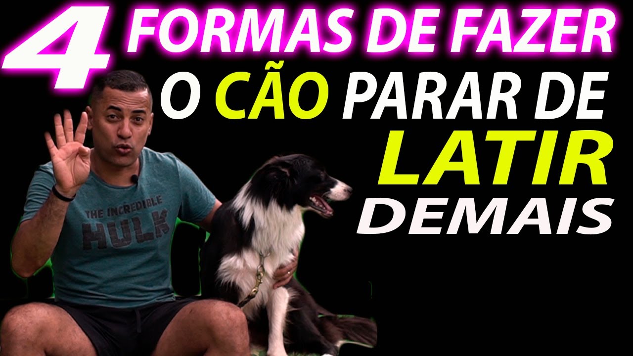 COMO FAZER O CÃO PARAR DE LATIR - 4 MANEIRAS