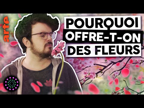 Dites-le avec des angiospermes 🌼🌷🌹 | Un Créatif | Le Vortex#35